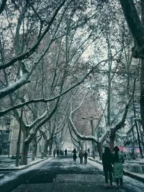 你我的不二情书