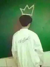 守护他人的勋兴灿白_d878