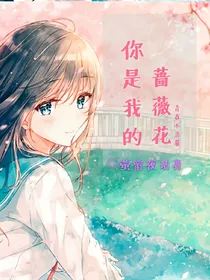 你是我的蔷薇花