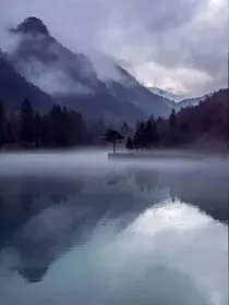 你是海，我非鱼