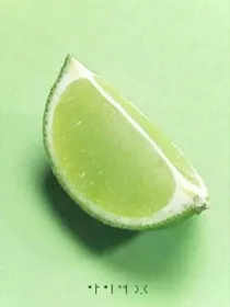 巷淋之萌里精灵族