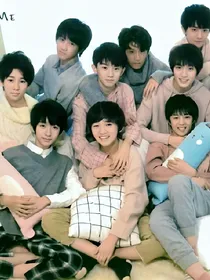 TF家族之爱你不后悔
