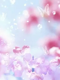 小说里的桃花运