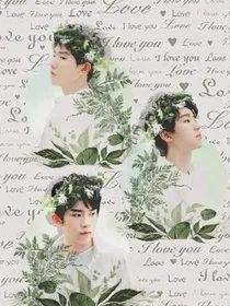 tfboys之吸血鬼日记（1）