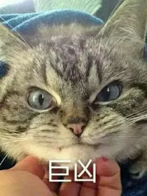 emm还没想好