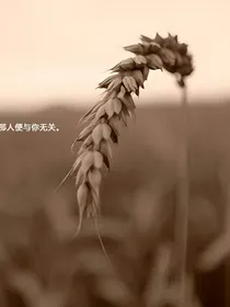 伤感语句