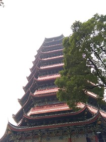 悲催的人