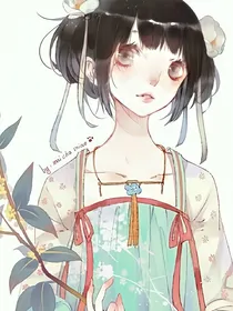 四爷的细作王妃