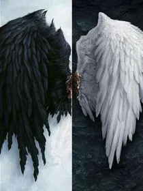 恶魔少爷与天使小姐