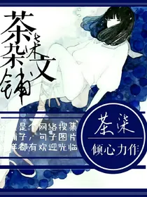茶柒杂文铺
