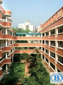 育才中学之樱花树下
