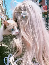 EXO之花美男收割机