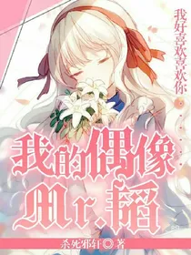 我的偶像Mr.韬