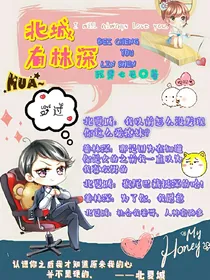 北城有林深