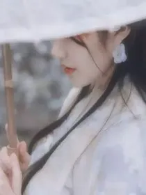 怪盗影子1413