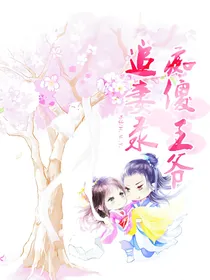 痴傻王爷追妻录