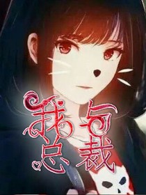 我与总裁