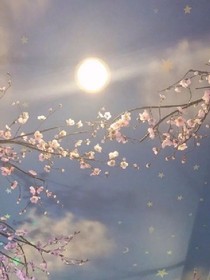 墨迹之夏