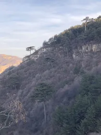 那些回不去的年少轻狂