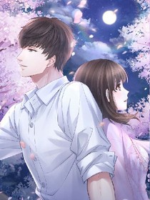 爱情与现实