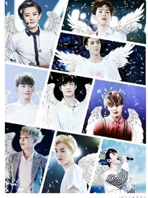EXO：浅情人不知