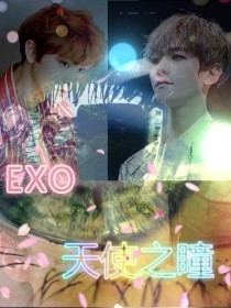 EXO：天使之瞳_d621