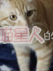 TF家族之和喵星人的21天