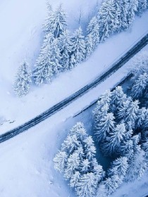 下雪了，你在哪