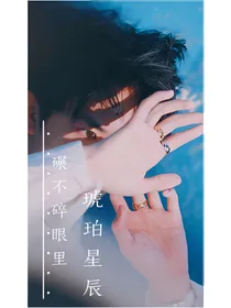 碾不碎眼里琥珀星辰.