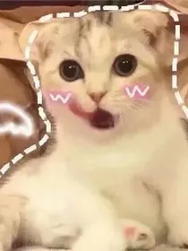 改坑