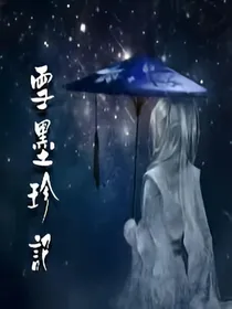 雪墨珍记