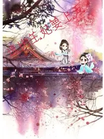 逗比王妃要上天