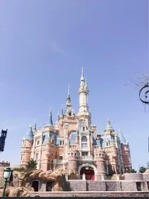 TF家族:邂逅