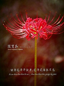 彼岸之恋，暮然回首，吗？