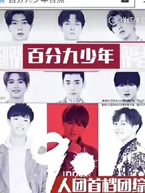 百分九少年铁血玫瑰