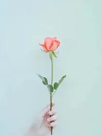 心底的那个11年