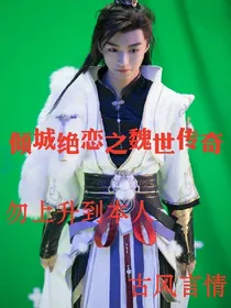 倾城绝恋之魏世传奇