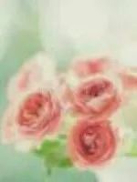 甜蜜时光的我们