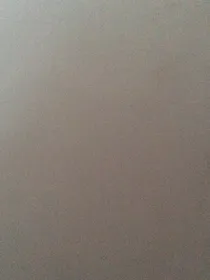 邪王爆宠倾城女王