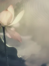 柠檬味，栀子花