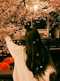 拆陆地之鹿晗夫妇
