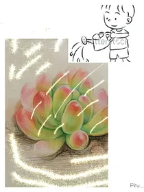 家养一只小受