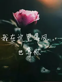 我在这里等你，也等风