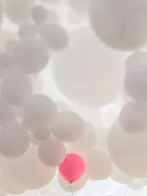 暗夜玫瑰之梦