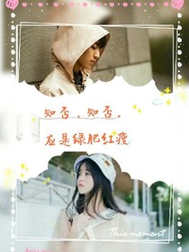 知否，知否。应是绿肥红瘦