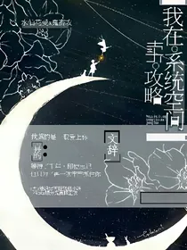 我在系统空间卖攻略