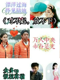对不起，放不下