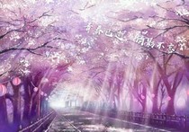 当猫性校草遇上霸道校花