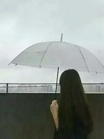 来之不易