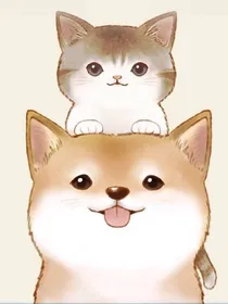 S小姐的日志